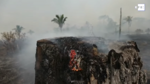<p>Incendio en la Amazonia brasileña. </p>