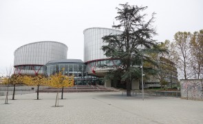 <p>El Tribunal Europeo de Derechos Humanos en Estrasburgo.</p>