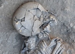 <p>Uno de los cráneos descubierto en Tell Qarassa.</p>