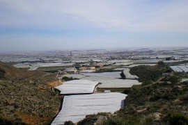 <p>Invernaderos en El Ejido (Almería).</p>