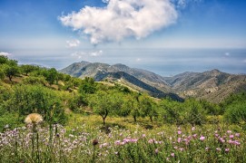 <p>Paisaje de montaña.</p>