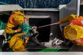<p>Aerial shot of the crew catching fish (January 2019, Antarctica).</p>