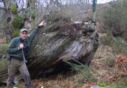 <p>Jesús Cañas, junto al enorme tronco muerto de un roble en los montes de Bárcena Mayor.</p>