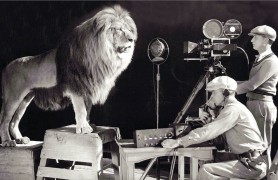 <p>El león Jackie, imagen del famoso logotipo de Metro Goldwyn Meyer (1928).</p>
