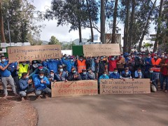 <p>Protestas en el campamento de Las Raíces en Tenerife.</p>