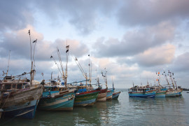 <p>Barcos pesqueros en Sri Lanka (India).</p>