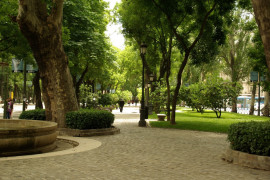 <p>Paseo del Prado (Madrid).</p>