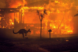 <p>Un canguro pasa corriendo junto a una casa en llamas en el lago Conjola, Australia, el martes 31 de diciembre de 2019. </p>
