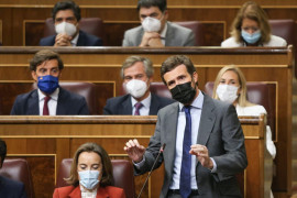 <p>Pablo Casado, durante la sesión de control al Gobierno. </p>