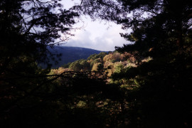 <p>Un paisaje de la Sierra de Guadarrama.</p>