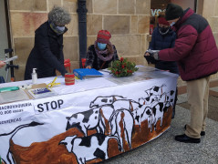 <p>Las Hacenderas recogen firmas contra el proyecto de macrogranja de vacas en la localidad soriana de Noviercas.</p>