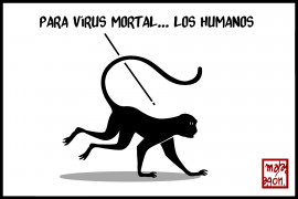 <p>Virus mortal.</p>