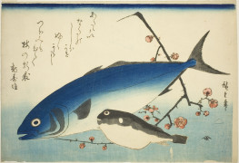 <p>Representación de un fugu. </p>