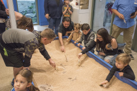 <p>Niños desenterrando a un dinosaurio en una actividad en el museo. </p>
