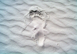 <p>Huellas de pisadas fosilizadas de una mujer y un niño en el Parque Nacional White Sands (Nuevo México, Estados Unidos).</p>