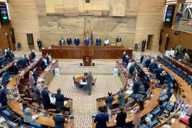 <p>Pleno del Parlamento de la Comunidad de Madrid del 18 de febrero de 2021. <strong>/ Asamblea de Madrid</strong></p>