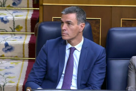 <p>Pedro Sánchez, durante la sesión de investidura del 29 de septiembre. / <strong>Congreso de los Diputados (YouTube)</strong></p>