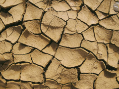 <p>Imagen de tierra agrietada por la desertificación. / <strong>Pexels</strong></p>