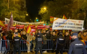 <p>Manifestación contra la amnistía frente a la sede del PSOE en Madrid el 6 de noviembre de 2023. / <strong>Willy Veleta</strong></p>
