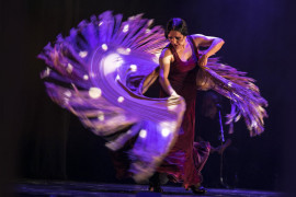 <p>Eva Yerbabuena bailando en su espectáculo <em>Yerbagüena</em>. / <strong>Ana Palma (Suma Flamenca)</strong></p>