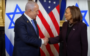 <p>Kamala Harris y Benjamin Netanyahu en la Casa Blanca el 26 de julio de 2024. / <strong>YT</strong></p>