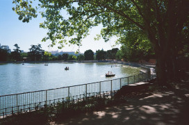 <p>Lago de la Casa de Campo en Madrid. / <strong>Érika Bejerano</strong></p>