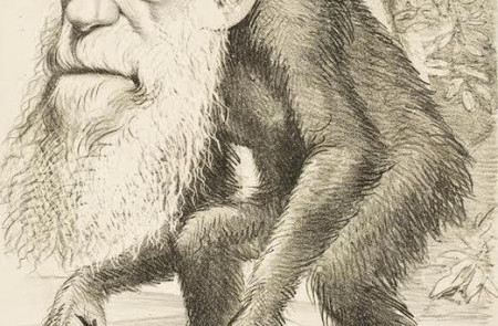 <p>Caricatura de Charles Darwin publicada en la revista The Hornet.</p>