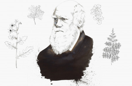 <p>Darwin.</p>