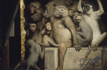 <p>Monos, como críticos de arte.</p>