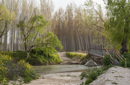 <p>El río Genil, a su paso por Fuente Vaqueros.</p>