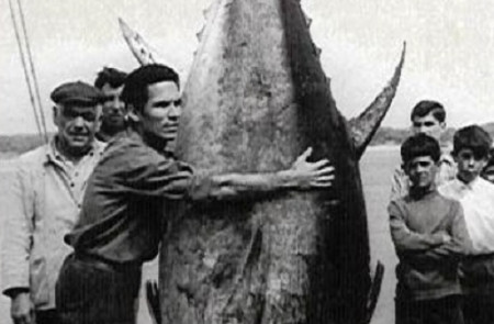 <p>Un grupo de pescadores muestra un atún de 500 kilos capturado en Tabarca en 1952.</p>