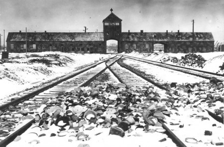 <p>Auschwitz (Oświęcim, Polonia).</p>