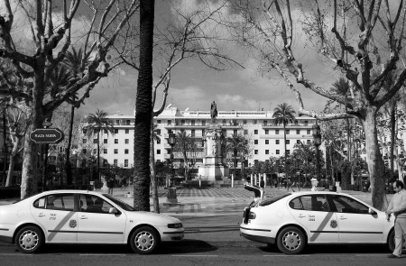 <p>Una imagen de taxis en la Plaza Nueva de Sevilla.</p>