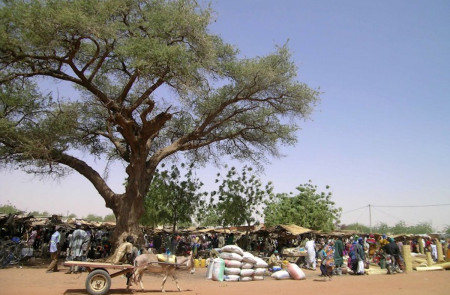 <p>Mercado de Gorom-Gorom en la provincia de Oudalan, Burkina Faso. </p>