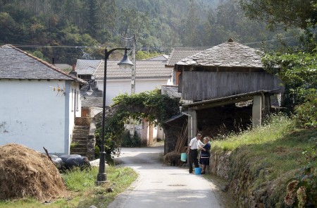 <p>Brieves (Asturias).</p>