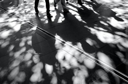 <p>Personas caminando y sus sombras.</p>