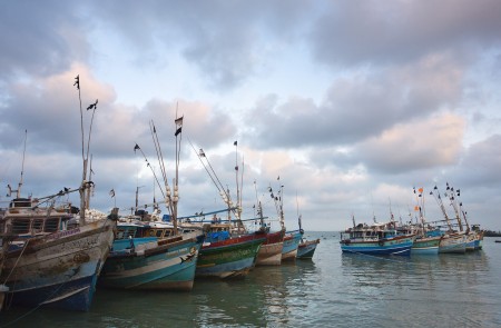 <p>Barcos pesqueros en Sri Lanka (India).</p>