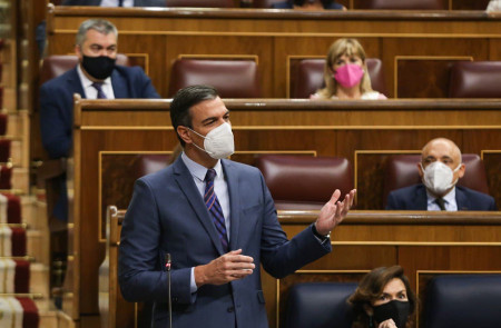<p>Pedro Sánchez, durante la sesión de control al Gobierno. </p>