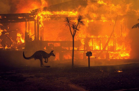 <p>Un canguro pasa corriendo junto a una casa en llamas en el lago Conjola, Australia, el martes 31 de diciembre de 2019. </p>