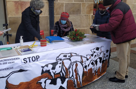 <p>Las Hacenderas recogen firmas contra el proyecto de macrogranja de vacas en la localidad soriana de Noviercas.</p>