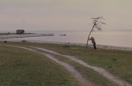 <p>Una escena de la película 'Sacrificio' (1986) de Andrei Tarkovski.</p>