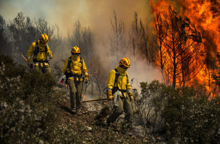 <p>Brigadistas trabajando para sofocar un incendio forestal. </p>