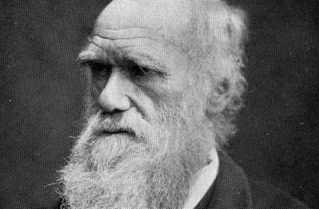 <p>Retrato de Charles Darwin. </p>