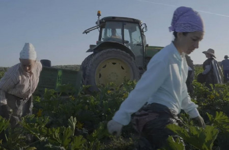 <p>Trabajos agrícolas en la finca El Humoso de Marinaleda, de gestión colectiva. /<strong> AJ+ Español (Youtube)</strong></p>