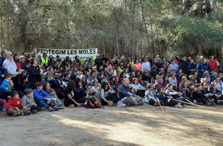 <p>Bellotada (plantación de semillas) celebrada en Les Moles en noviembre de 2019. / <strong>Coordinadora per la Protecció de Les Moles</strong></p>