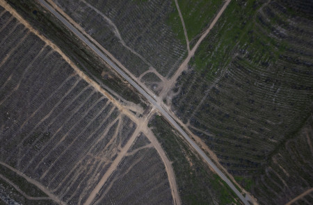 <p>Vista aérea de los caminos afectados por los incendios del verano de 2022 y las nuevas rutas de tala que han surgido desde entonces. Ferreras de Arriba, julio 2024. / <strong>J. J. P.</strong></p>