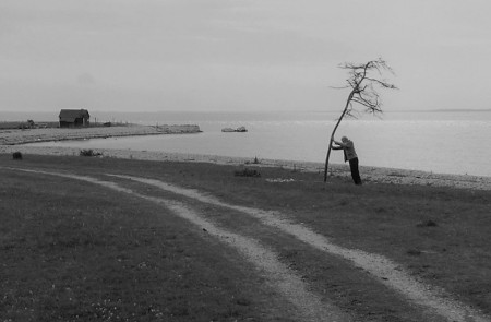 <p>Fotograma del <em>Sacrifício</em> (1986). / <strong>Andrei Tarkovsky</strong></p>