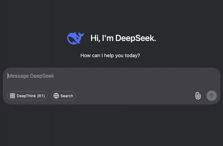 <p>Página de inicio del chat de DeepSeek. / <strong>DS</strong></p>