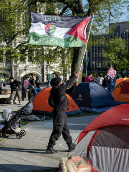 <p>Uno de los manifestantes ondea una bandera palestina. / <strong>R. M. C.</strong></p>