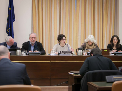 <p><strong>La secretaria general del Sindicato de Estudiantes, Ana García, compareciendo en la Comisión de Educación</strong></p>